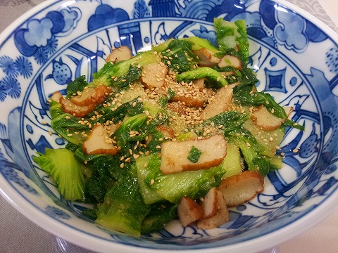 2013-01-10 07.31.11.jpg