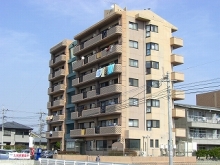 �v���~�l���g����