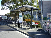 �s�c�o�X ��F�{�c�Ə�