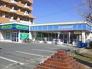 ���[�\�� ��F�{�O���ړX